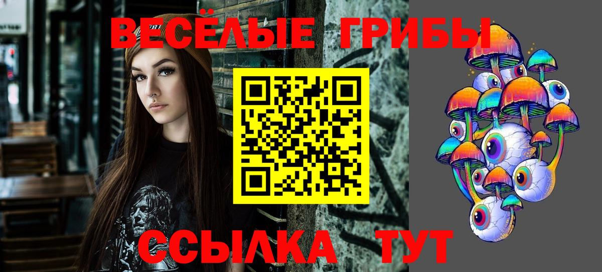 цена   Галлюциногенные грибы Psilocybine cubensis  Вичуга  Вход с VPN  Псилоцибиновые грибы ЛСД 
